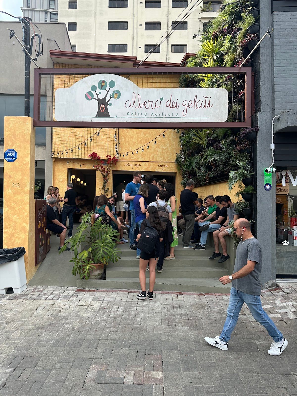 Albero dei Gelati