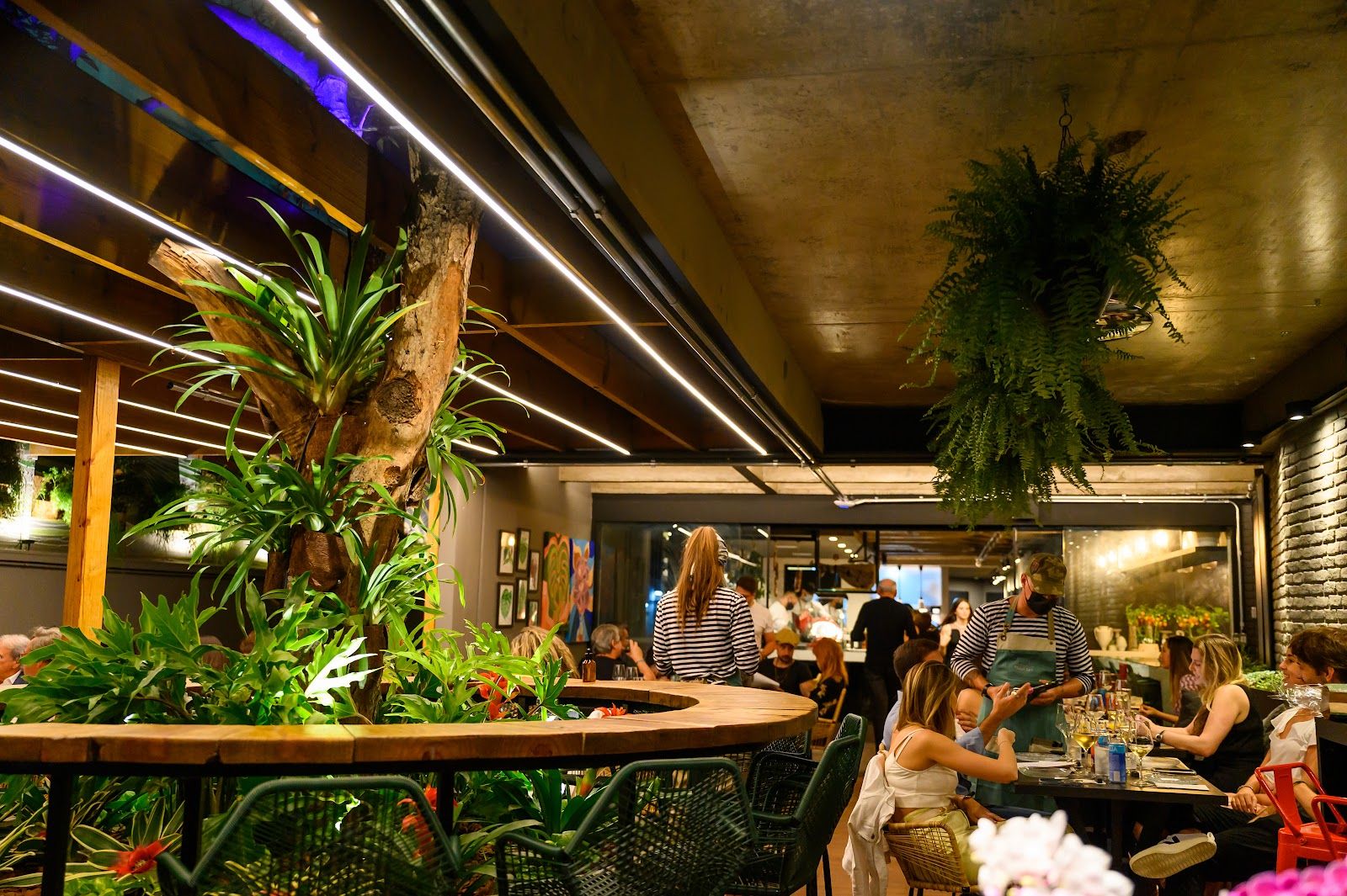 Sky Hall Garden